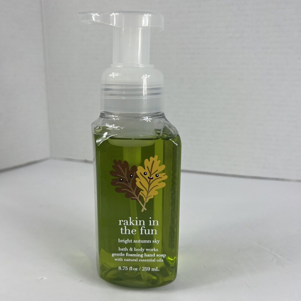 NEW RAKIN IN THE FUN bath and body works Foaming hand soap